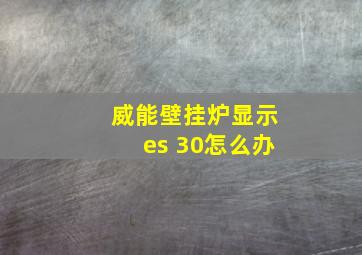 威能壁挂炉显示es 30怎么办